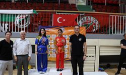 Yalova Şehir Oyunları Kent Kupası Wushu Müsabakalarıyla Son Buldu