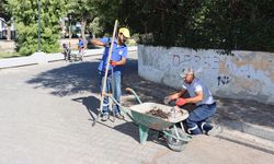 Yaklaşan Sonbahar Mevsimi Öncesi Mazgallar Temizleniyor