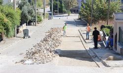 Gülser Sokakta Parke Yolda Bakım Onarım Çalışması Başlatıldı