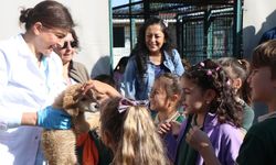 Çınarcıklı Çocuklar Hayvanları Koruma Günü’nü Kutladı