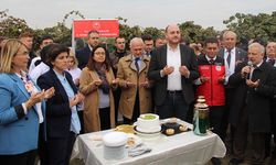 Coğrafi İşaretli Yalova Kivisi Hasat Töreni Yapıldı