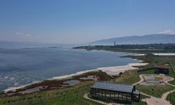 Yalova’da Doğa ve Kuş Gözlemi İçin Gizli Bir Cennet: Hersek Lagünü