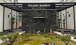 Kadıköylüler, Bonsai Müzesi’ni Ücretsiz Gezebilecek