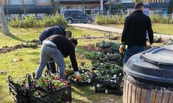 Yalova Belediyesi'nden Park ve Bahçelere Sonbahar Bakımı