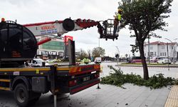 Yalova Belediyesi Kış Hazırlıklarını Sürdürüyor