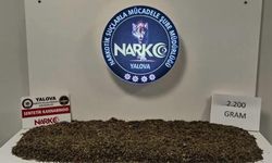 Yalova’da Narkotik Operasyon