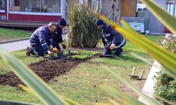 Akasya Parkta Çiçek Ekimi Gerçekleştirildi