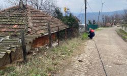 Yalova’da Kahverengi Kokarca Mücadelesine Devam Ediliyor