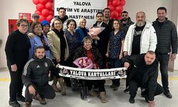 Yalova Kartallarından Örnek Davranış