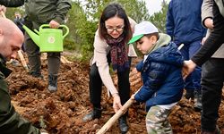 Yalova'da Yanan 25 Dönümlük Orman Alanı Ağaçlandırıldı