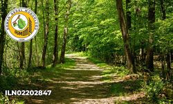 Asmalıdere Şefliğinin 554 ve 556 Nolu Yollarına Sanat Yapısı Yapılacak