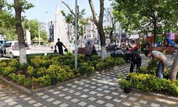 Çınarcık’ta Hizmet Seferberliği: Yol, Temizlik ve Peyzaj Çalışmaları Sürüyor