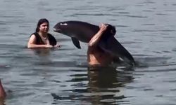 Ölmüş Yunusu Sırtında Taşıdı