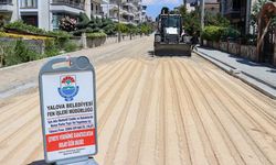 Yalova’da Yollar Yenileniyor, Şehir Güzelleşiyor
