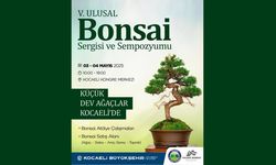 Yalova Bonsai Müzesi Kocaeli’de Görücüye Çıkıyor