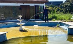 Çiftlikköy’de Sinekle Mücadele Tam Gaz Sürüyor