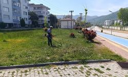 Çınarcık Belediyesi’nden Yaz Hazırlığı: Çim Biçme ve Çiçeklendirme Çalışmaları Sürüyor