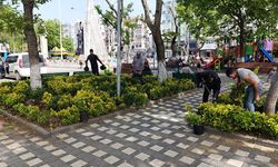 Turgut Özal Parkı’nda Bahar Bakımı