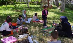 Doğada Matematik Eğitimi Verildi