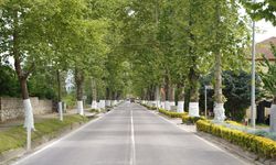 Kadıköy Belediyesi’nden Çevre ve Altyapı Çalışmaları