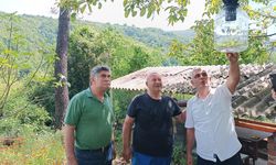 Yalova’da Kahverengi Kokarcayla Mücadele Sürüyor