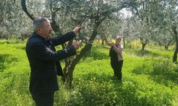 Zirai Don Sonrası Sahada Müdahale