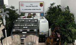 Evini Madde Serasına Çevirdi, Jandarma Yakaladı