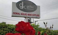 Güleç Kardeşler Bu Bayramda Da İlk Tercih Oldu