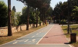 Yalova’da Sinek Sorunu Baş Gösterdi!