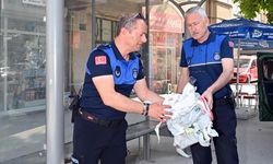 Yalova Belediyesi, Eski Afiş ve Broşürleri Temizliyor