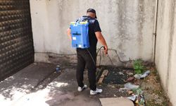 Yalova Belediyesi’nden Sivrisinekle Mücadele İçin Larva İlaçlaması