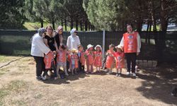 Subaşılı Minik TEMA’lar Okullarını Yeşillendirdi