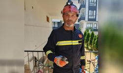 Yavru kuş itfaiye tarafından kurtarıldı