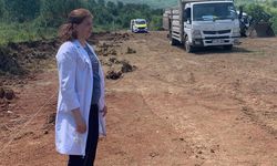 Çınarcık Belediyesi’nden Patili Dostlara Doğal Yaşam Alanı Müjdesi