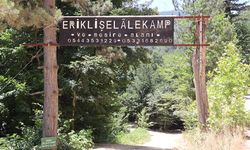 İstanbul’a 2 Saat Uzaklıkta Doğa Kaçamağı: Erikli Şelale Kamp Alanı Ziyaretçi Akınına Uğruyor