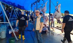Yalova'da Kurban Bayramı Denetimleri Başarıyla Tamamlandı