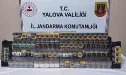 Yalova'daki Ro-Ro Gümrük Limanı’nda Kaçak Sigara Operasyonu