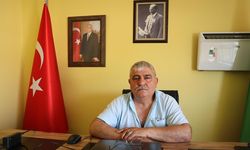 Yalova’daki Üreticiler Don Felaketinin Yaralarını Sarmaya Çalışıyor