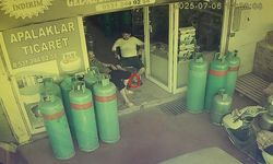 Dükkana giren yılan, esnafı sokağa fırlattı