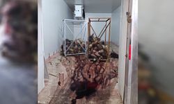 Sağlıksız Şartlarda İstiflenmiş Çok Sayıda Hayvan Kafası Bulundu
