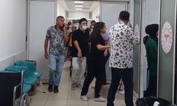 Yalova'da Düğünde Tavuklu Pilavdan Zehirlenenler 190'a Yükseldi, Soruşturma Başlatıldı