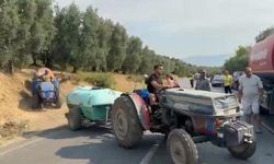 İznik’te çıkan yangın kontrol altına alındı