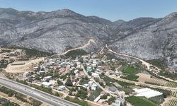 Yeşil Bursa'nın Yemyeşil Ormanları Böyle Karardı