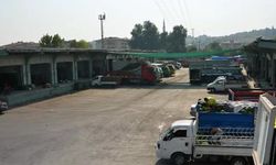 İstanbul’un Sebze ve Meyvesi Yalova’dan!