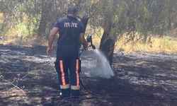 Subaşı’ndaki Yangın Hızlı Müdahaleyle Söndürüldü