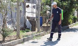 Yabani Otlar İlaçlanarak Kurutuluyor