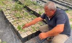 Türkiye'de Yapılmayanı Uludağ Eteklerinde Deniyorlar, Dünyaya Açılmayı Hedefliyorlar