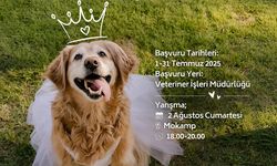 Çiftlikköy Köpek Güzellik Yarışması