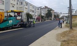 Çınarcık’ta Asfalt Atağı
