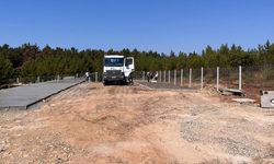 Çınarcık’ta Sokak Hayvanlarına Sıcak Bir Yuva